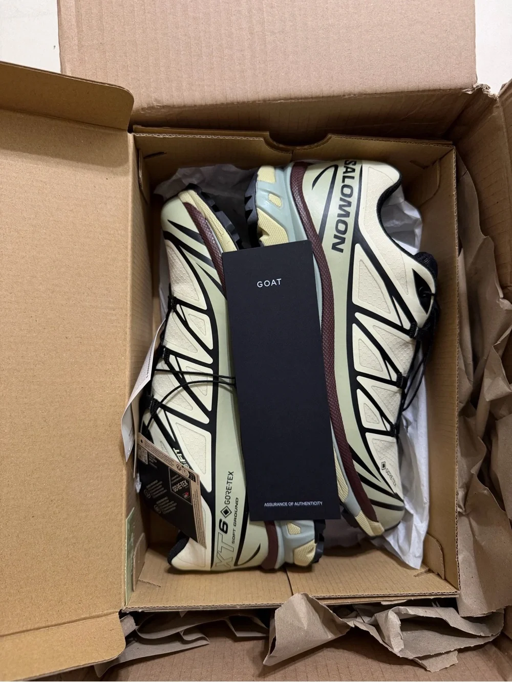 Salomon Aspargus Green / Tea / Bitter Chocolate XT-6 Gore-tex Unisex Sneakers - Picture 12 of 14